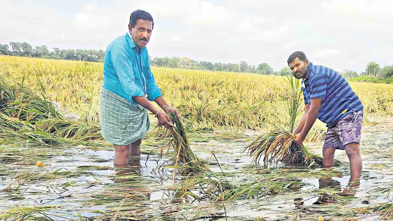 అకాల వర్షం.. అపార నష్టం