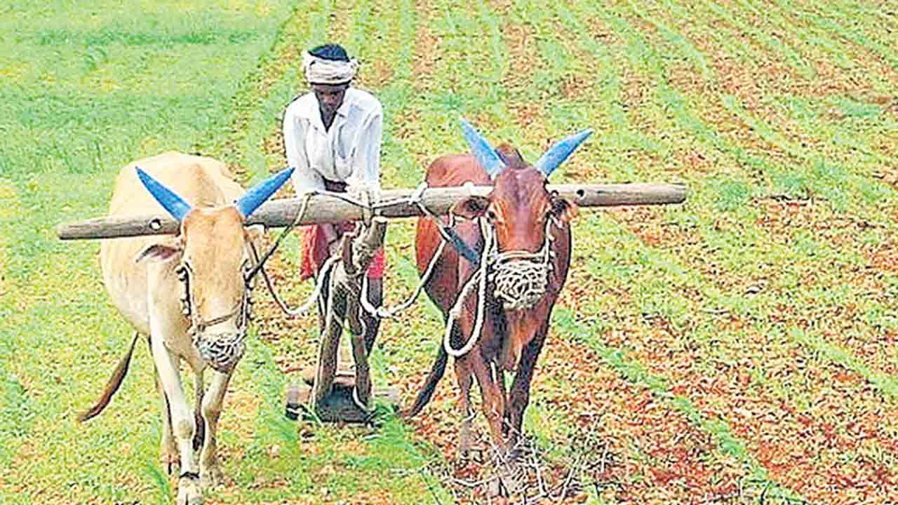 సేంద్రియం నేలకు బలం