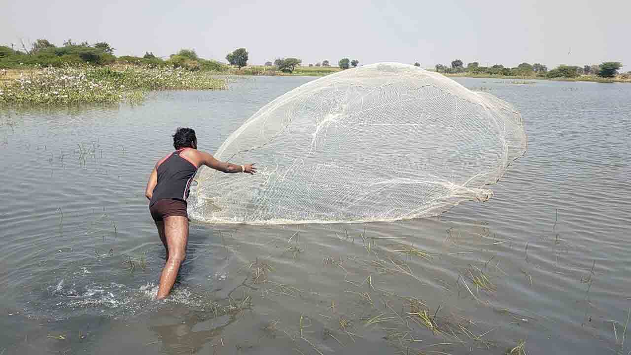 జాగ్రత్తలు పాటిస్తేనే మత్స్యసిరులు