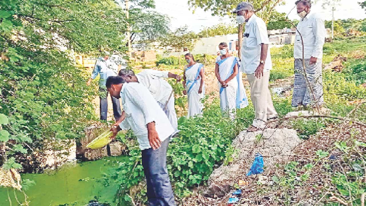 గంబుసియాతో దోమలు పరార్‌