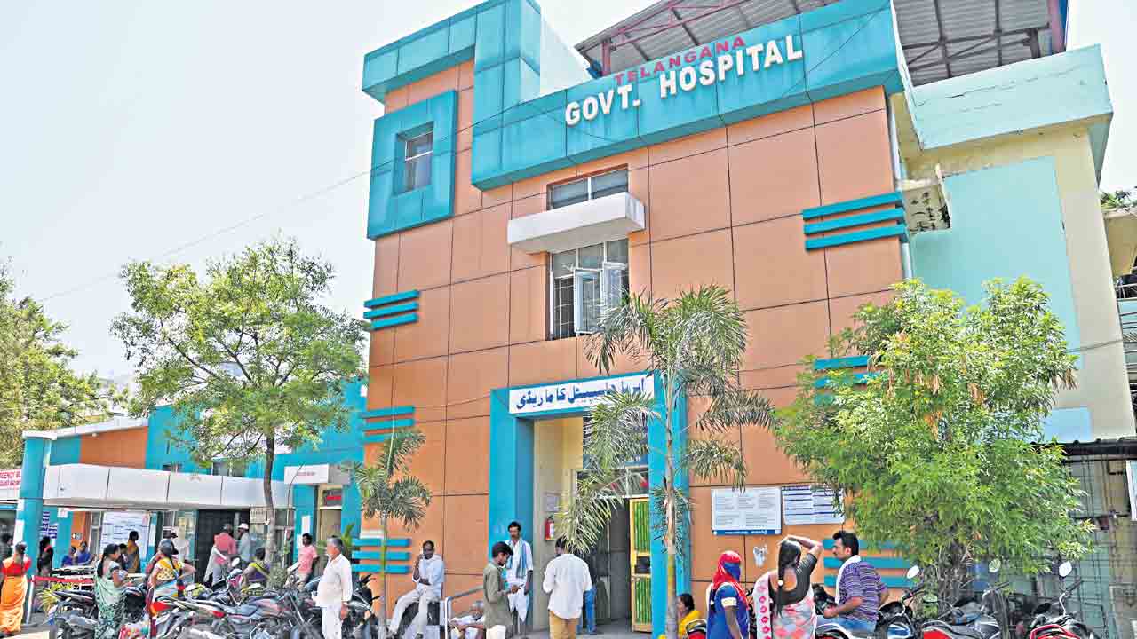 Government Hospital |  నేను పోత బిడ్డో.. సర్కారు దవాఖానకు!