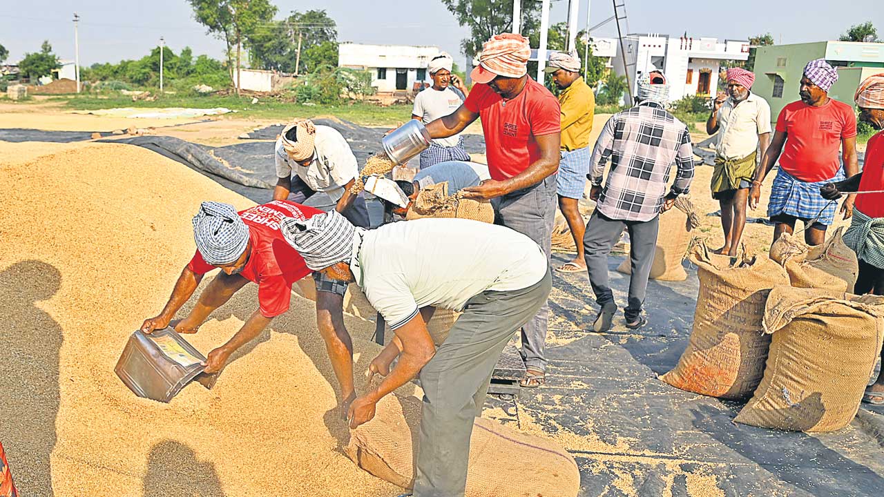 వేగంగా వడ్ల కాంటా