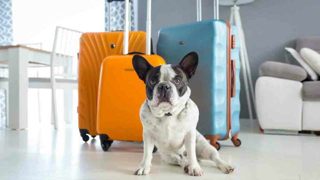 రైలులో ఎలా ప్రయాణించాలి