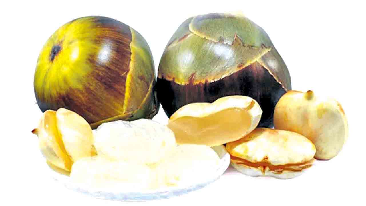 Ice Apple |  ఐస్‌ యాపిల్‌ మస్తు పోషకాల్‌.. తాటిముంజలతో మండుటెండల నుంచి ఉపశమనం