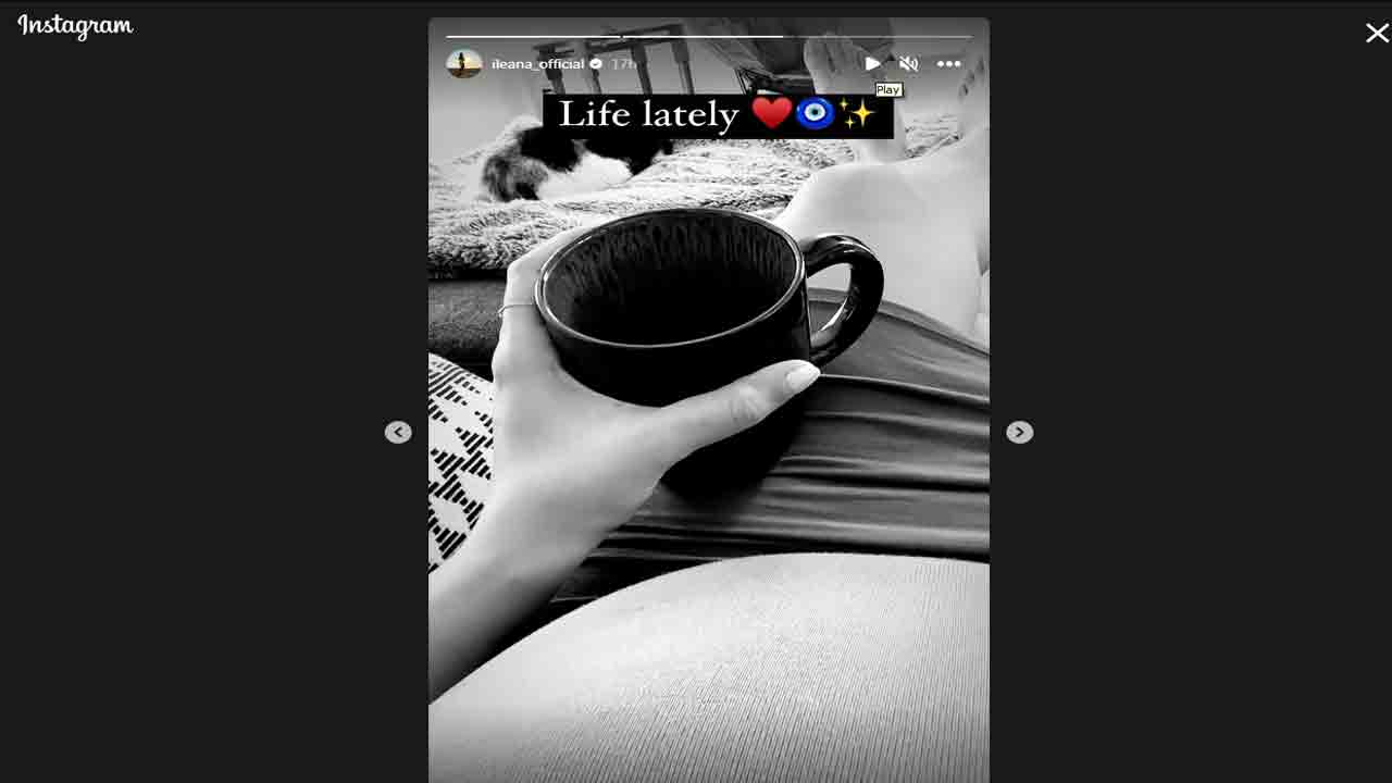 Ileana D’Cruz | తల్లి కాబోతున్నట్లు ఇటీవలే ప్రకటించిన ఇలియానా.. ఇప్పుడు వీడియోతో షాకిచ్చింది!