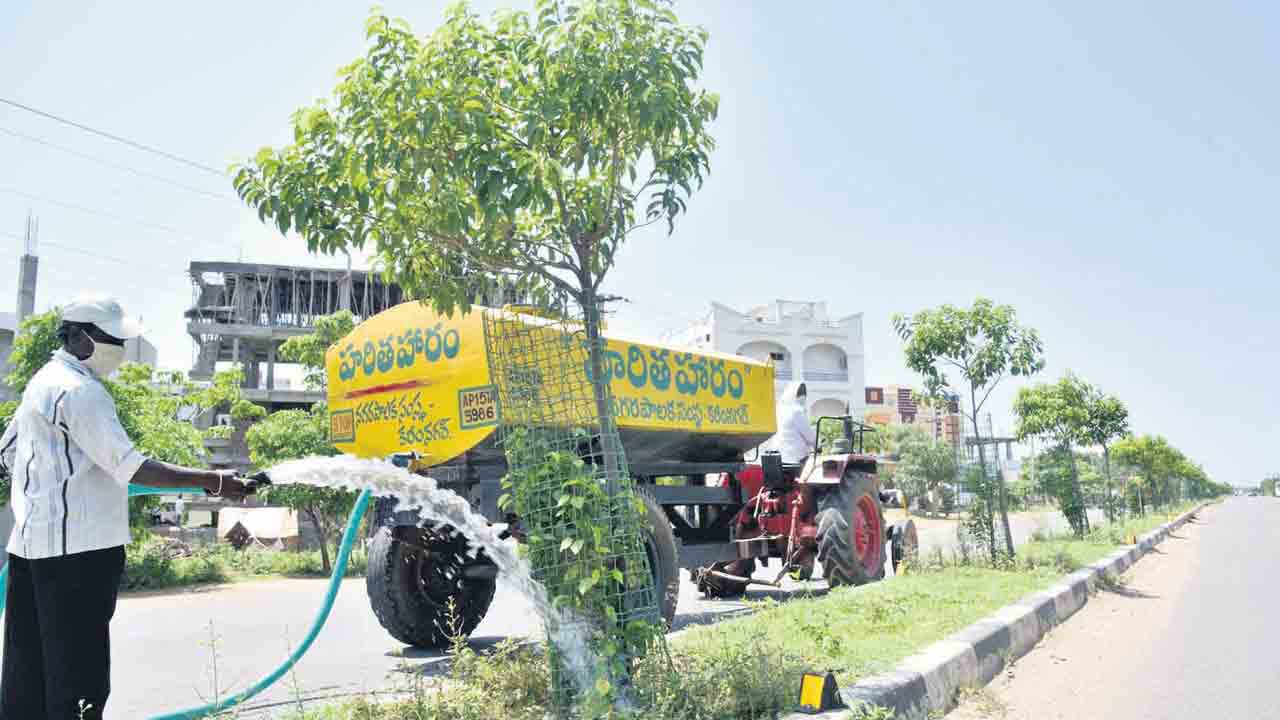 మండుటెండల్లో మొక్కల రక్షణ