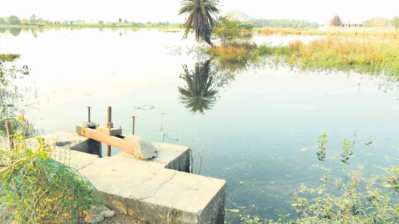 మండుటెండల్లోనూ జలసిరులు