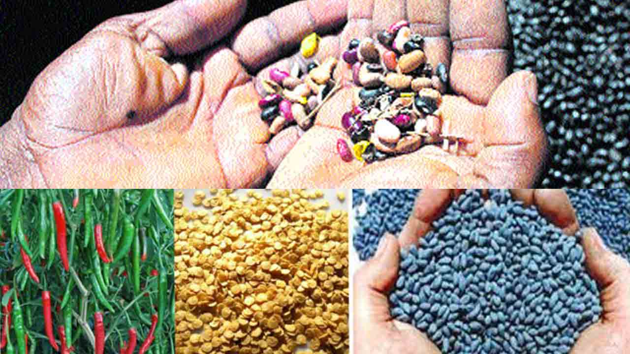 నకిలీలపై నజర్‌