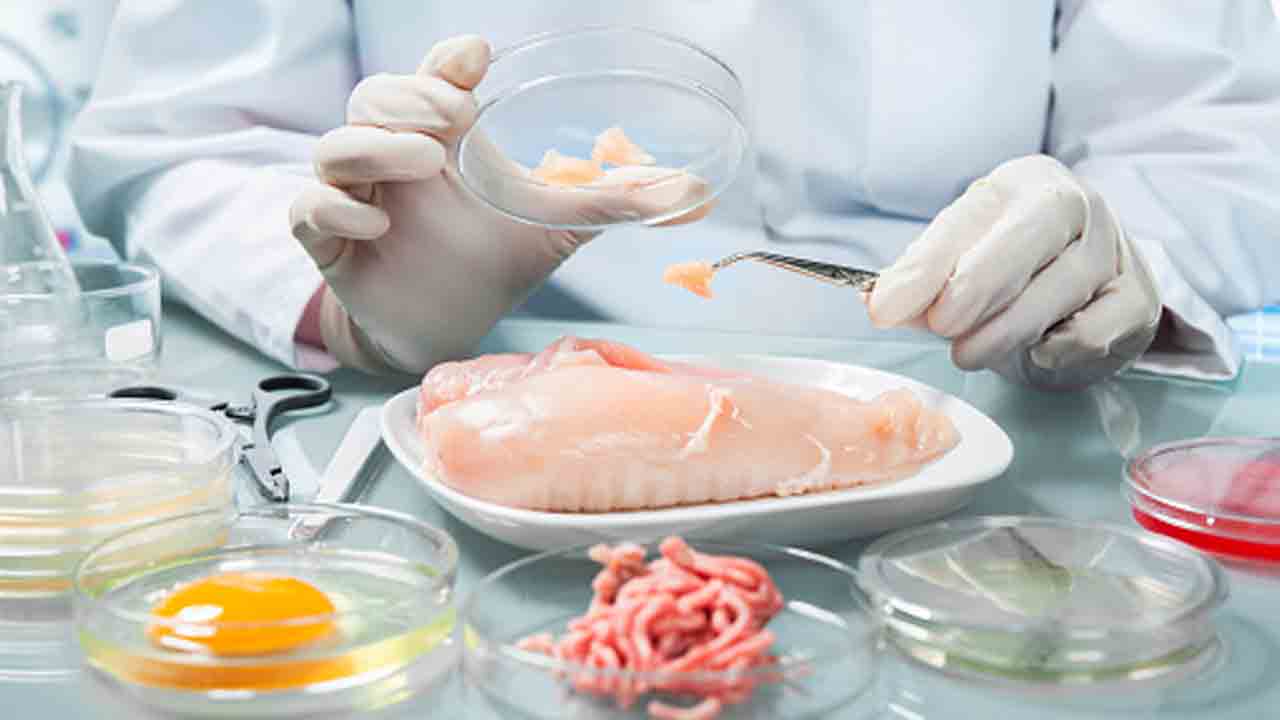 Lab Grown Meat To Revolutio
