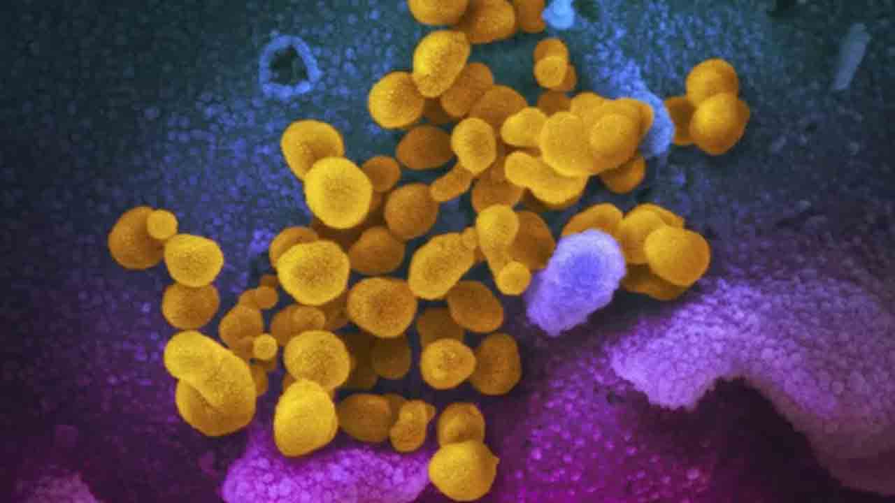 Long Covid | ఒమిక్రాన్‌తో ప్రతీ 10 మందిలో ఒకరికి లాంగ్‌ కొవిడ్‌.. లక్షణాలు ఏంటంటే..?