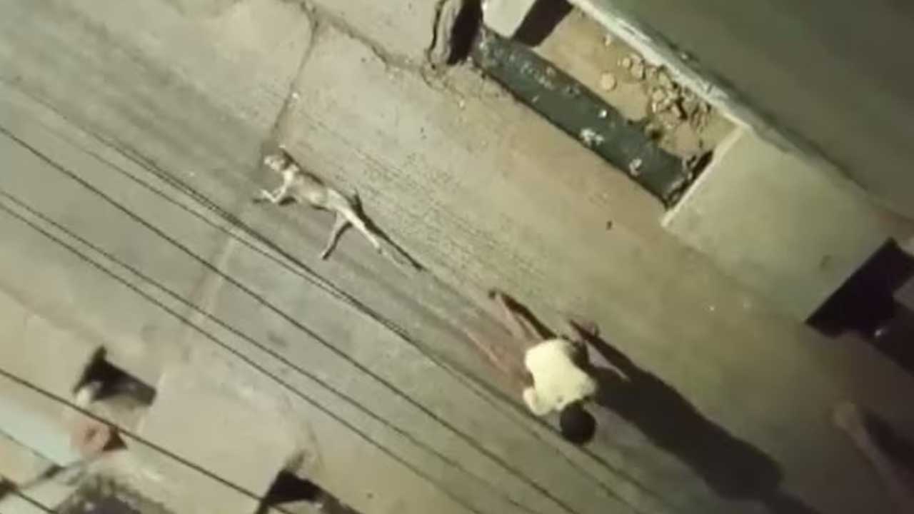 Street dog | వీధి కుక్కను చంపి.. తాడుతో కట్టి 100 మీటర్లు లాక్కెళ్లిన వ్యక్తి