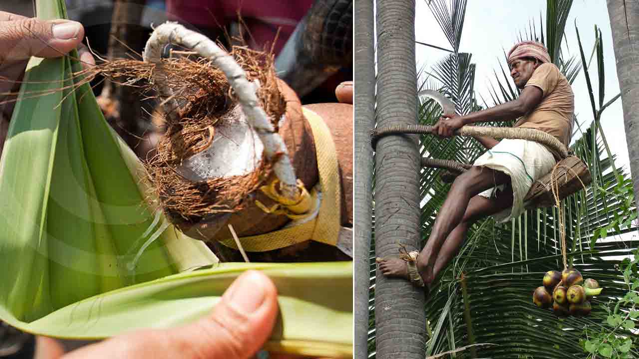 రైతుబీమా తరహాలో..