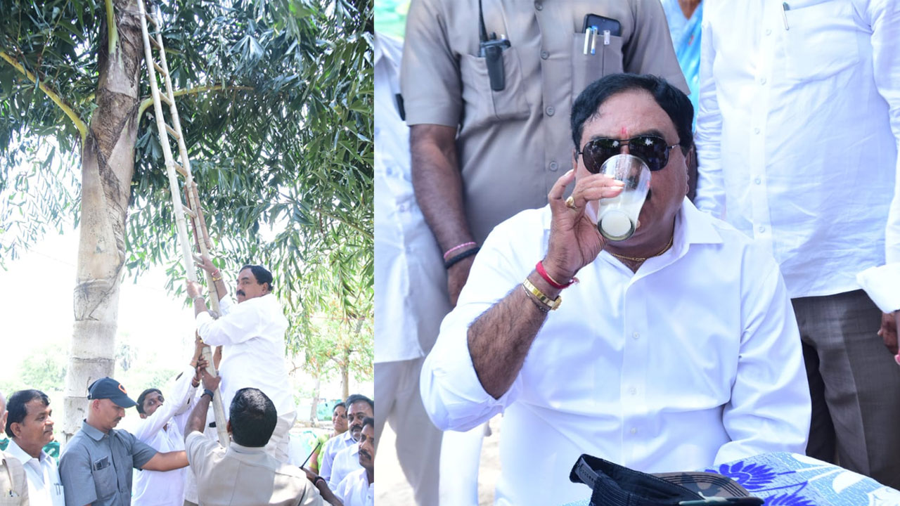 Minister Dayakar Rao | గిరక తాడెక్కి కల్లు దింపిన మంత్రి ఎర్రబెల్లి