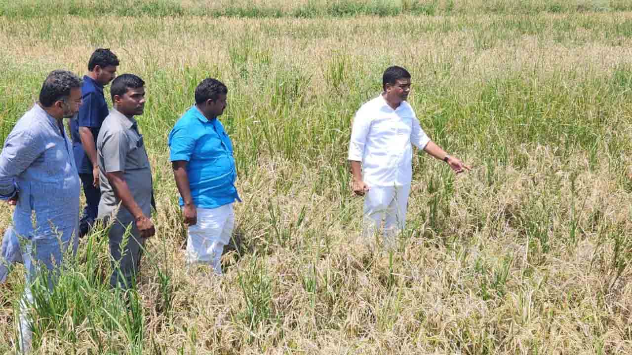 MLA Jeevan Reddy | రైతులు అధైర్యపడొద్దు .. ప్రభుత్వం అండగా ఉంది : ఎమ్మెల్యే జీవన్‌రెడ్డి