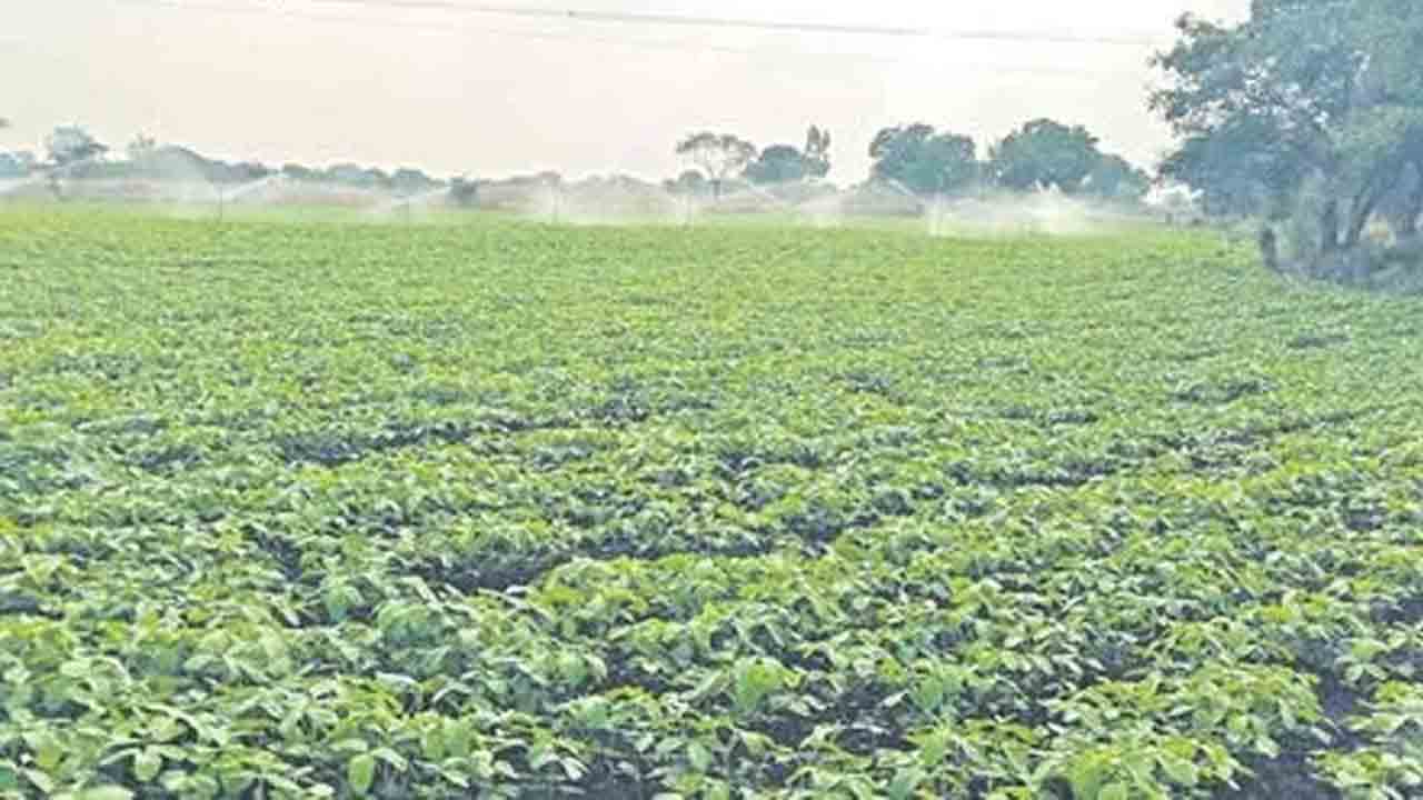 పంటల సాగు ముందుకు సాగేదెలా?