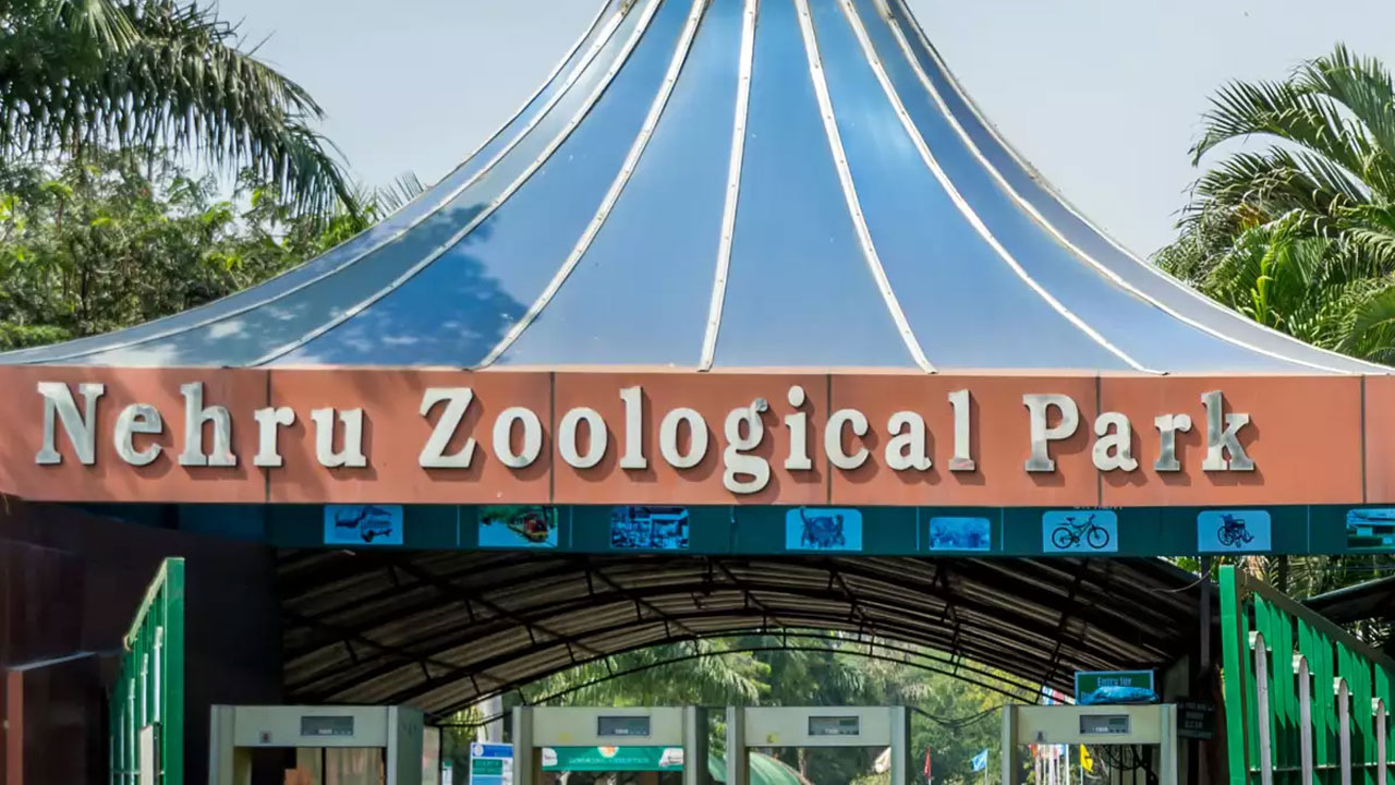 Minister Indrakan Reddy | అంతర్జాతీయ స్థాయిలో నెహ్రూ జూపార్క్‌ను తీర్చిదిద్దుతాం : మంత్రి ఇంద్రకరణ్‌రెడ్డి