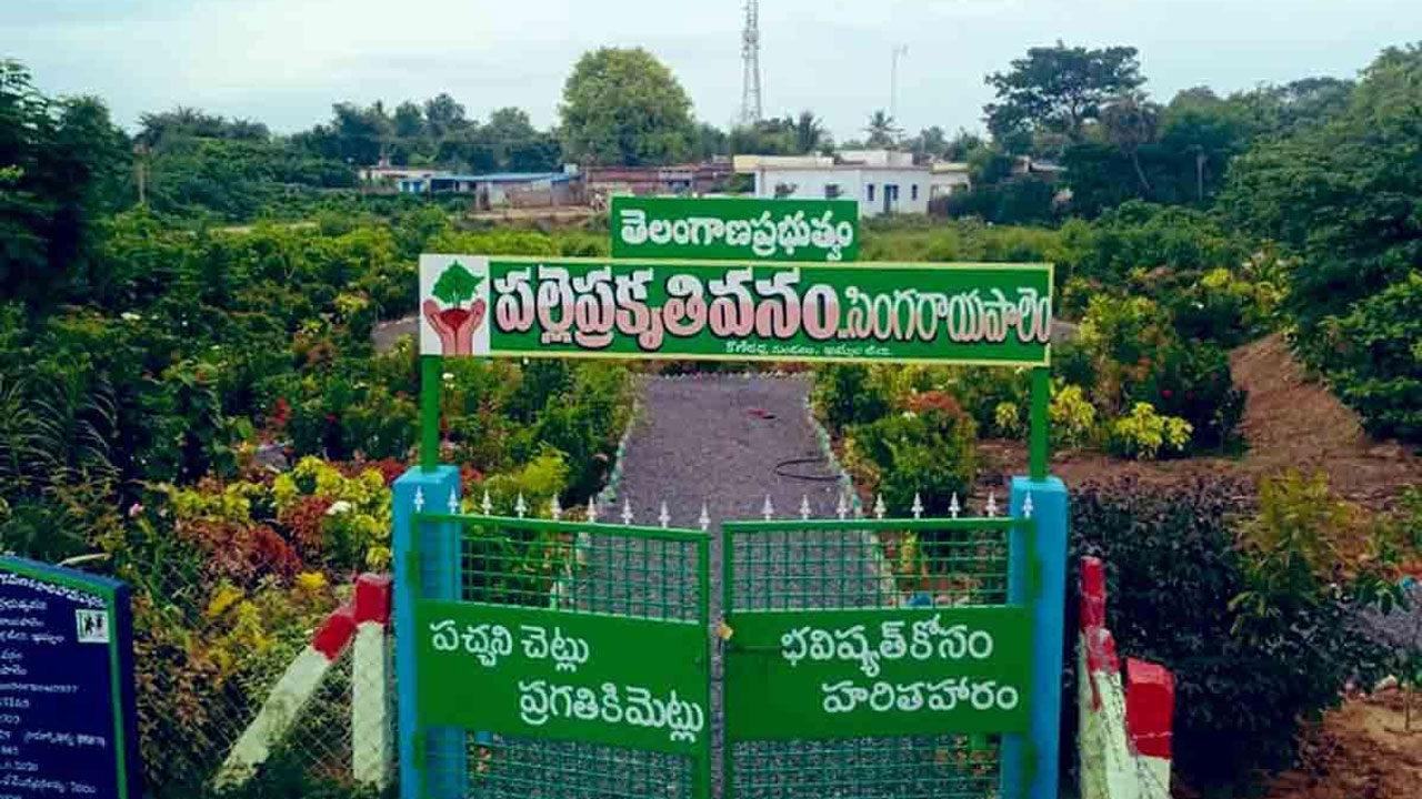 Palle Prakruthi Vanam | తెలంగాణ పల్లె ప్రకృతి వనాలకు.. నీతి ఆయోగ్‌ గుర్తింపు..!
