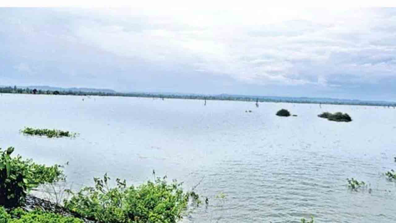 సర్వే చేస్తూ.. సంరక్షిస్తూ