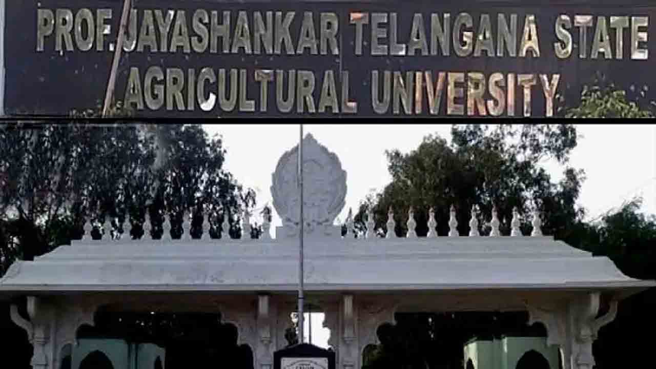 పంట సీజన్‌ మార్పుపై అధ్యయనం చేయాలి