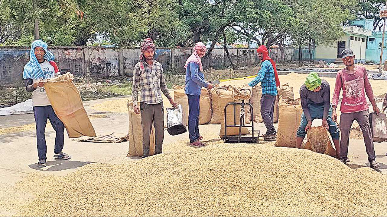 పంటల కొనుగోలు ప్రభుత్వం