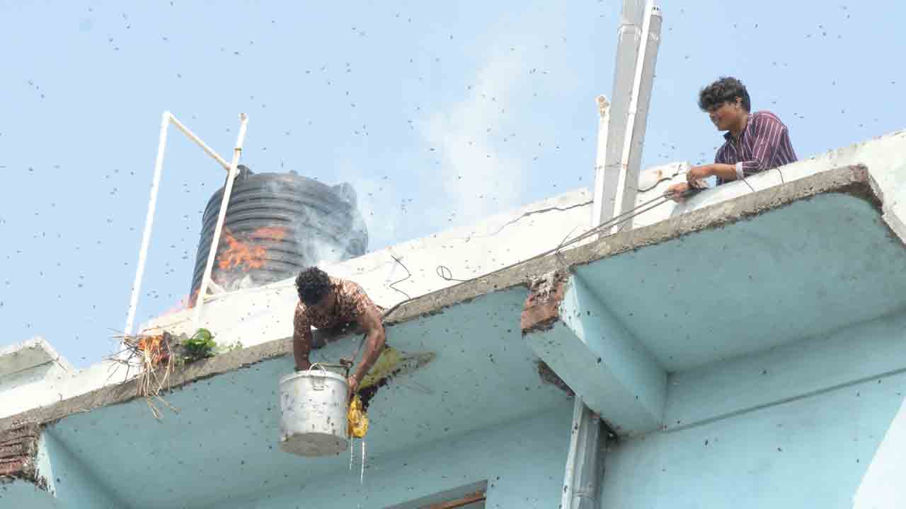 పొట్ట కూటికి తేనెప‌ట్టు