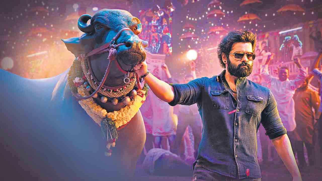 సదర్‌ పండగలో సందడి