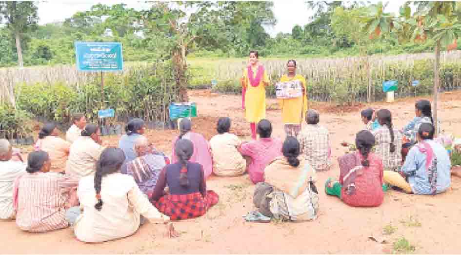 వేధింపులు, లైంగికదాడులపై తక్షణ స్పందన