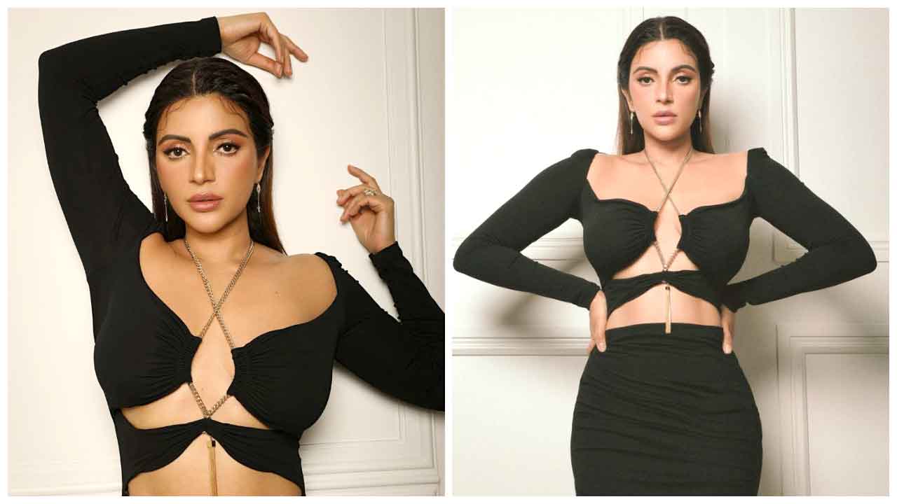 Shama Sikander | ఖతర్నాక్ పోజులతో సొగసులు ఒలకబోస్తున్న షామా సికందర్..