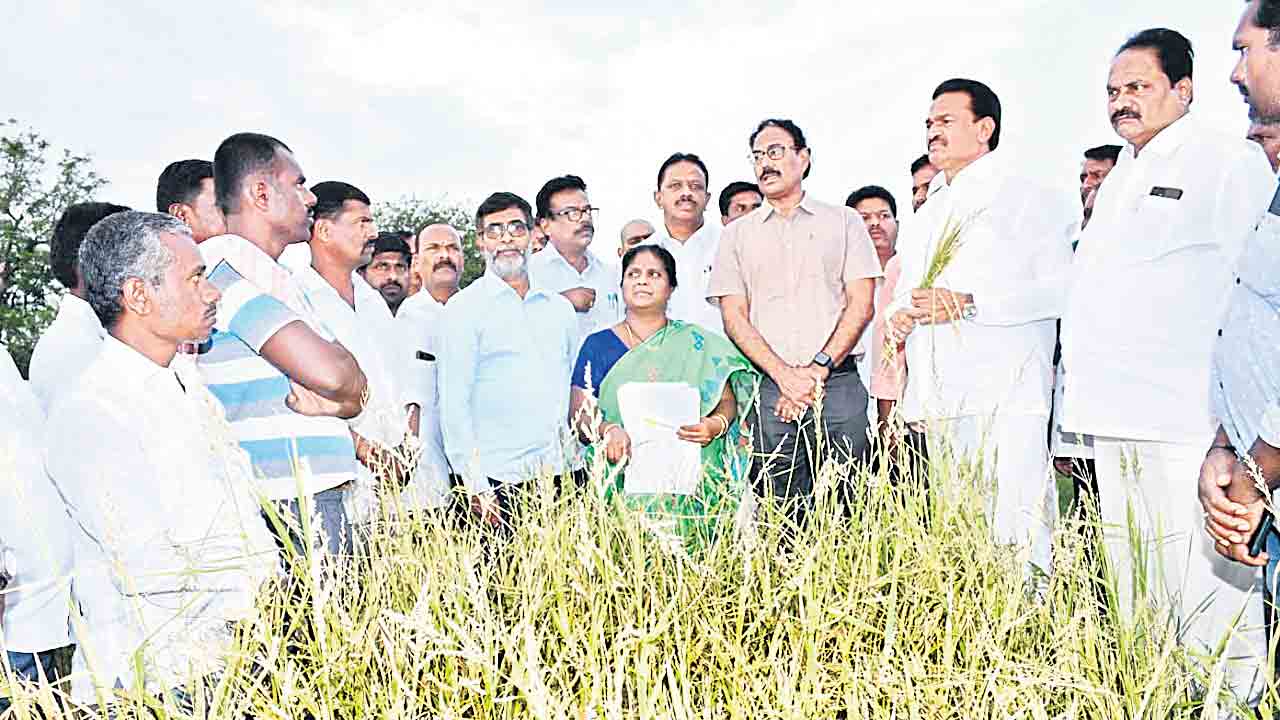 ఆప‌త్కాలంలో అండ‌గా..