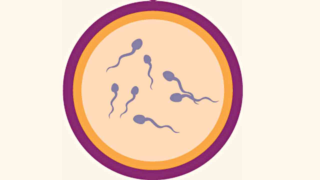 Infertility | తండ్రి కాలేక పోతున్నారా..? మగాళ్లలో వీర్యకణాల సమస్య ఎందుకు వస్తుంది?
