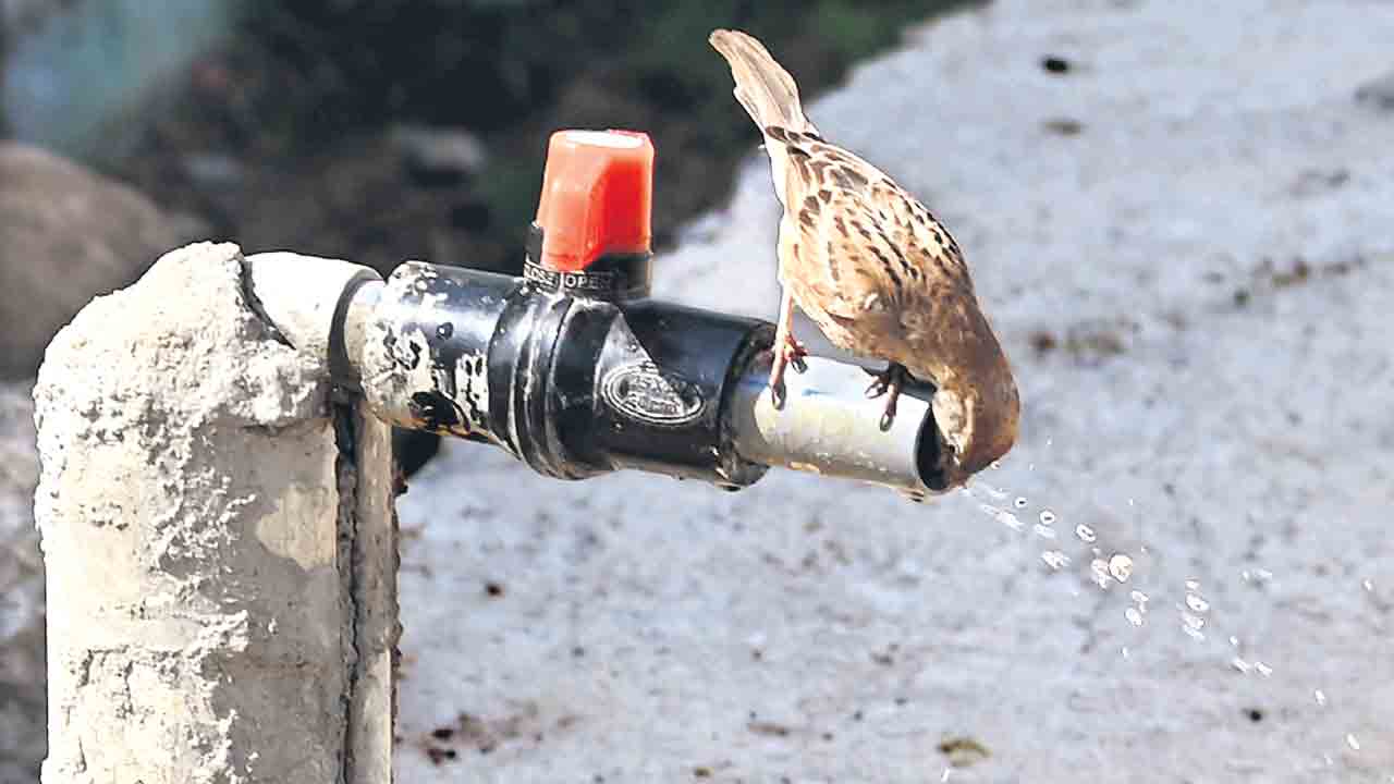 Summer heat |  మరో రెండు వారాలు భగభగలు.. రాష్ట్రవ్యాప్తంగా 40 డిగ్రీలు దాటిన గరిష్ఠ ఉష్ణోగ్రతలు