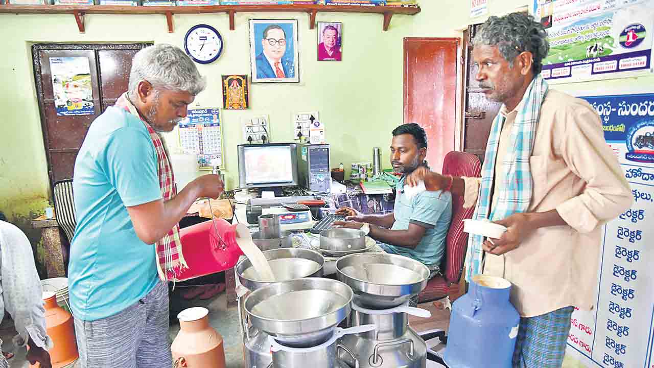 Sundaragiri Milk Dairy