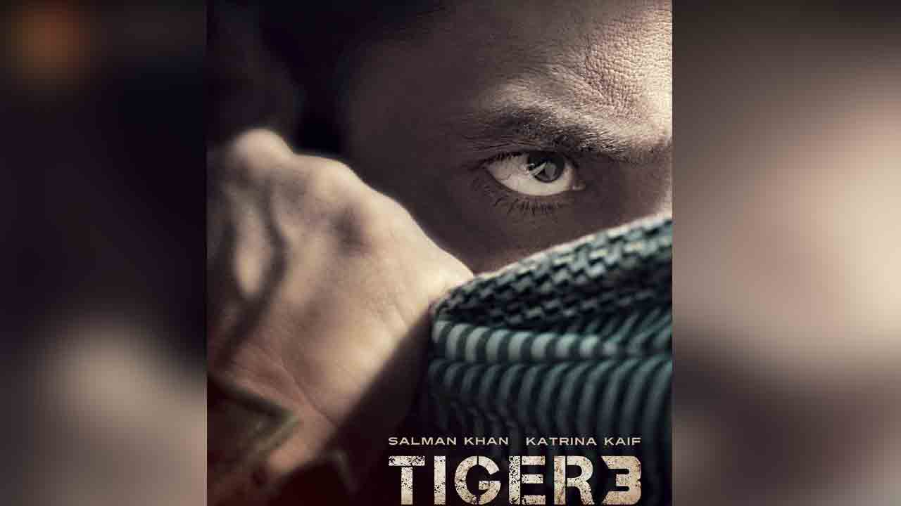 Tiger 3 | సల్మాన్‌ ఖాన్‌ టైగర్‌ 3 నయా అప్‌డేట్‌