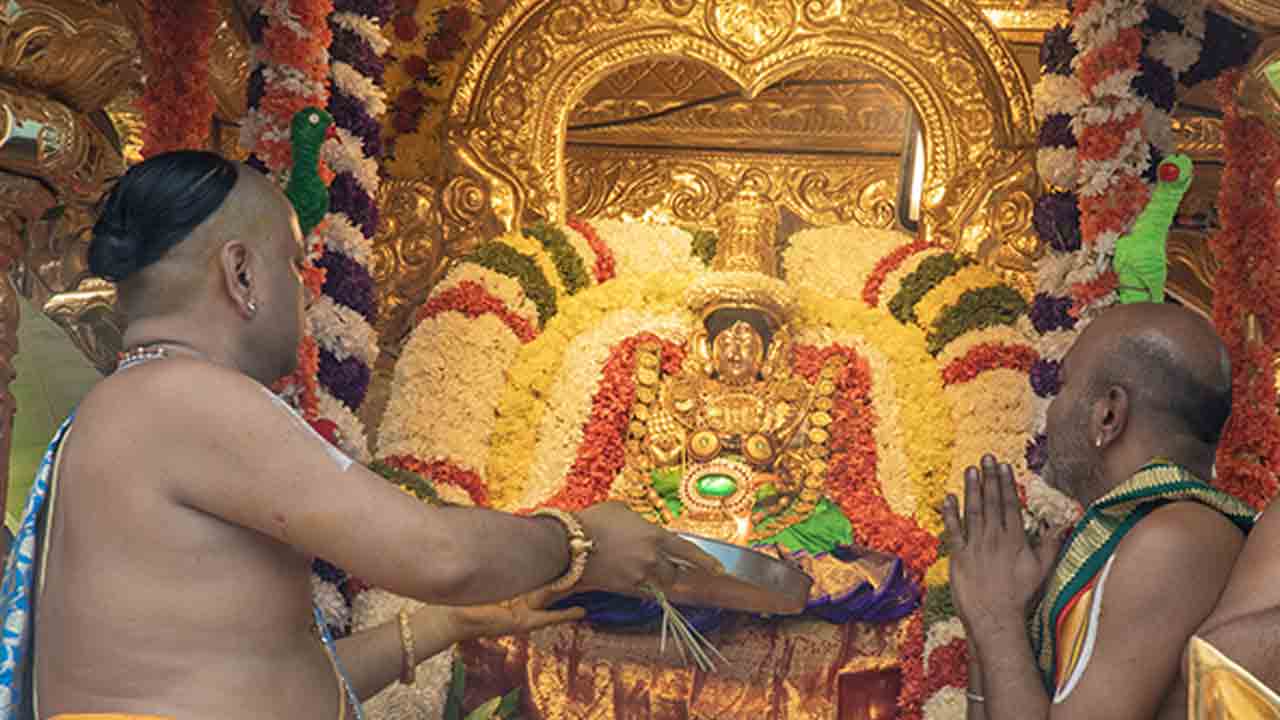 Tirupati | స్వర్ణరథంపై తిరుచానూరు పద్మావతి అమ్మవారు దర్శనం
