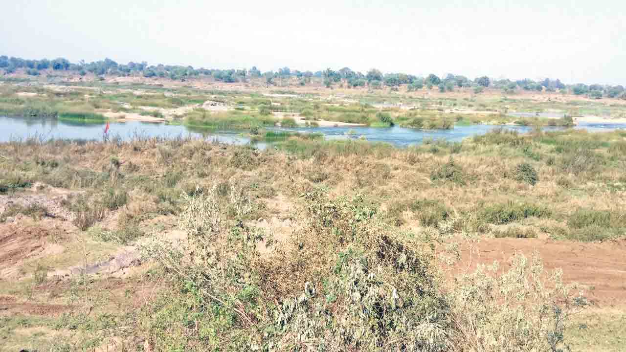 వార్ధా బారాజ్‍కు అడుగులు