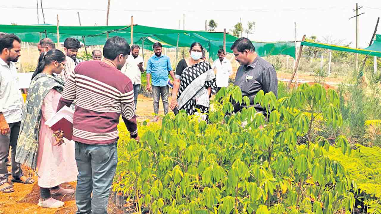 హరితహారాని స‌న్న‌ద్ధం