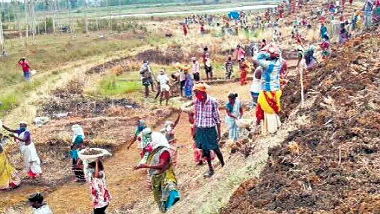 జోరుగా ఉపాధిహామీ పనులు