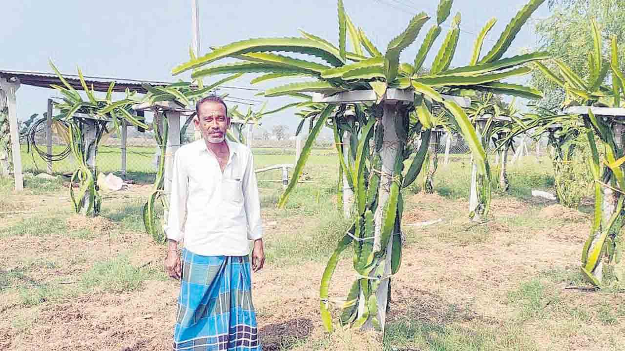 పంట మారుస్తున్నరు