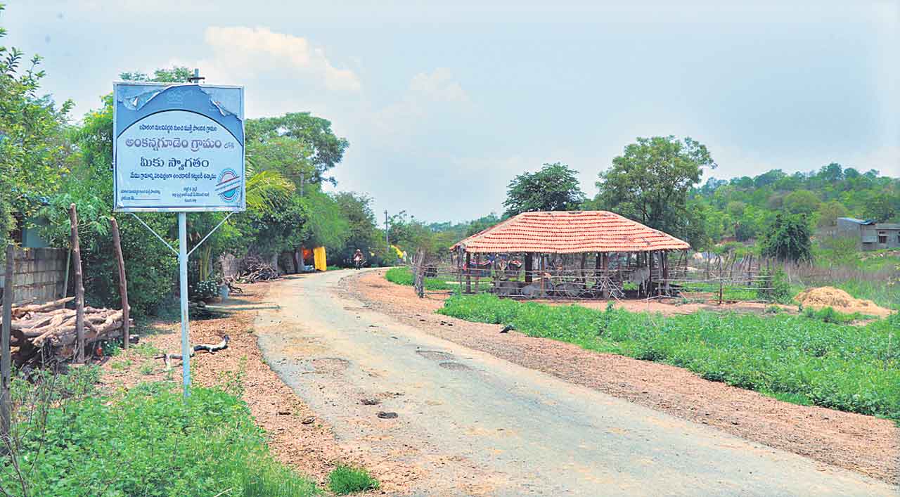 Palle Pragathi |  గ్రామస్వరాజ్యానికి అసలైన నమూనా తెలంగాణ గ్రామాలు.. మారుమూల పల్లెలోనూ ప్రగతి