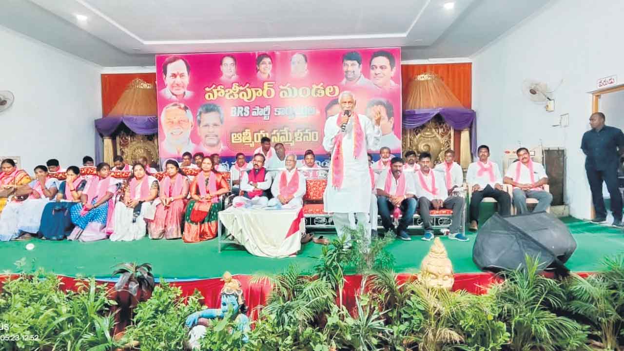 మళ్లీ ఎగిరేది గులాబీ జెండానే..