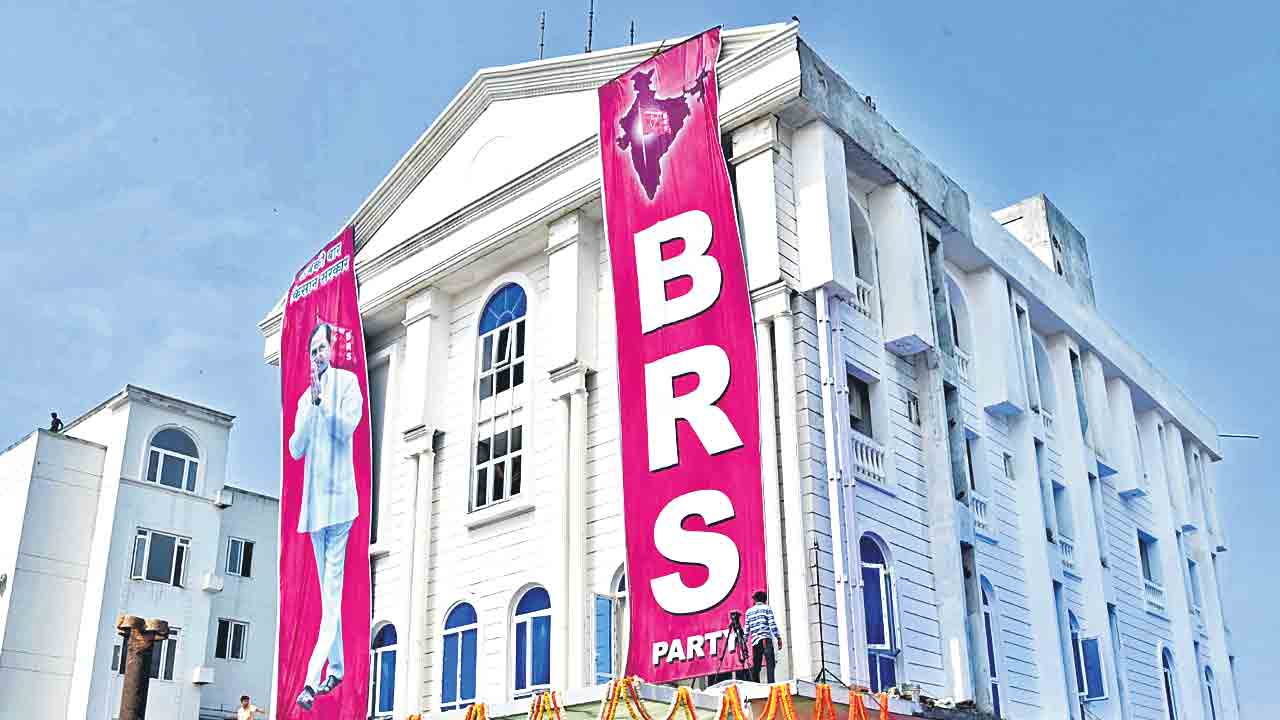 హస్తినలో బీఆర్‌ఎస్‌ పతాక