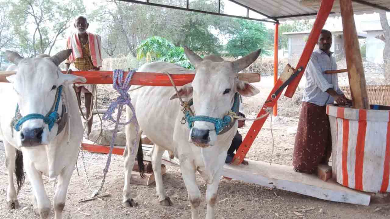 గానుగ నూనెతో.. లాభాలెన్నో