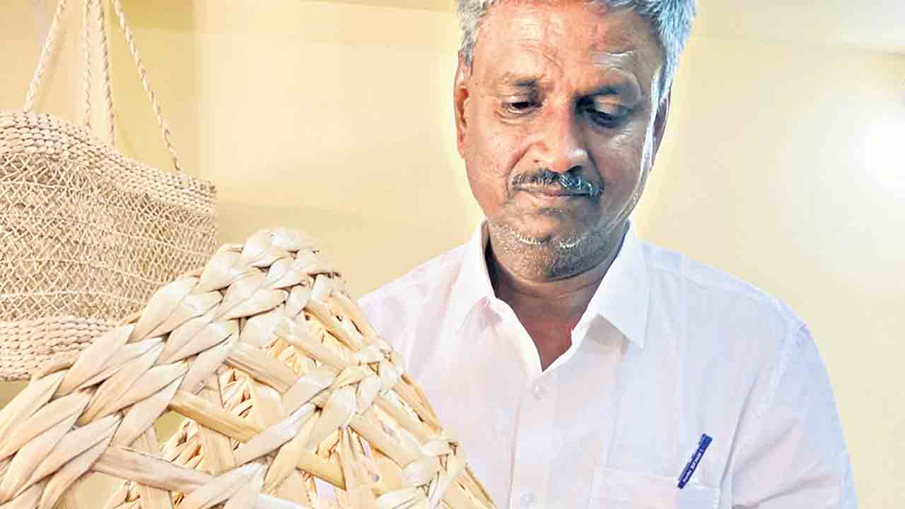 అరటి నారి