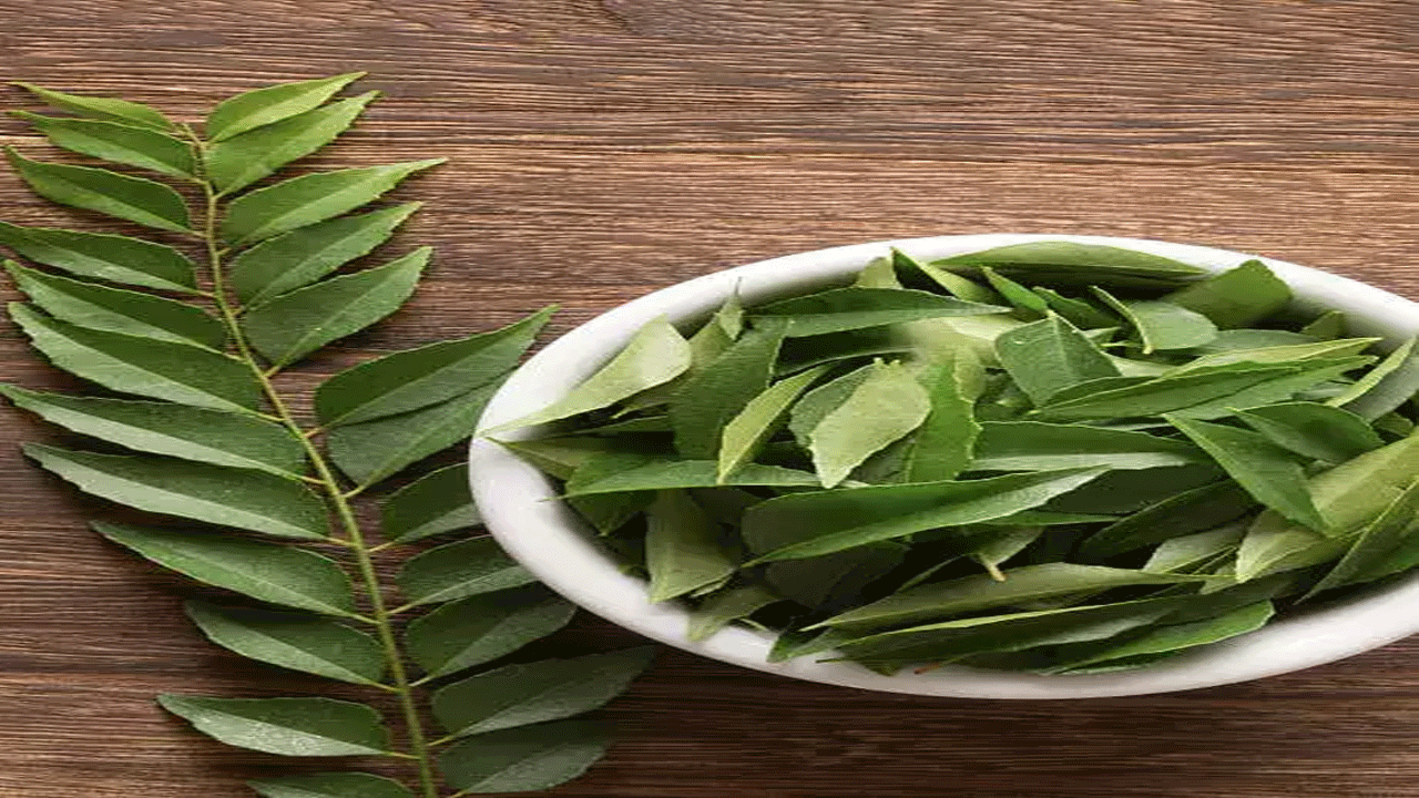 Health Tips | కరివేపాకును తీసిపారేయకండి..ఈ ఆకుతో అద్భుత ఆరోగ్య ప్రయోజనాలు..!