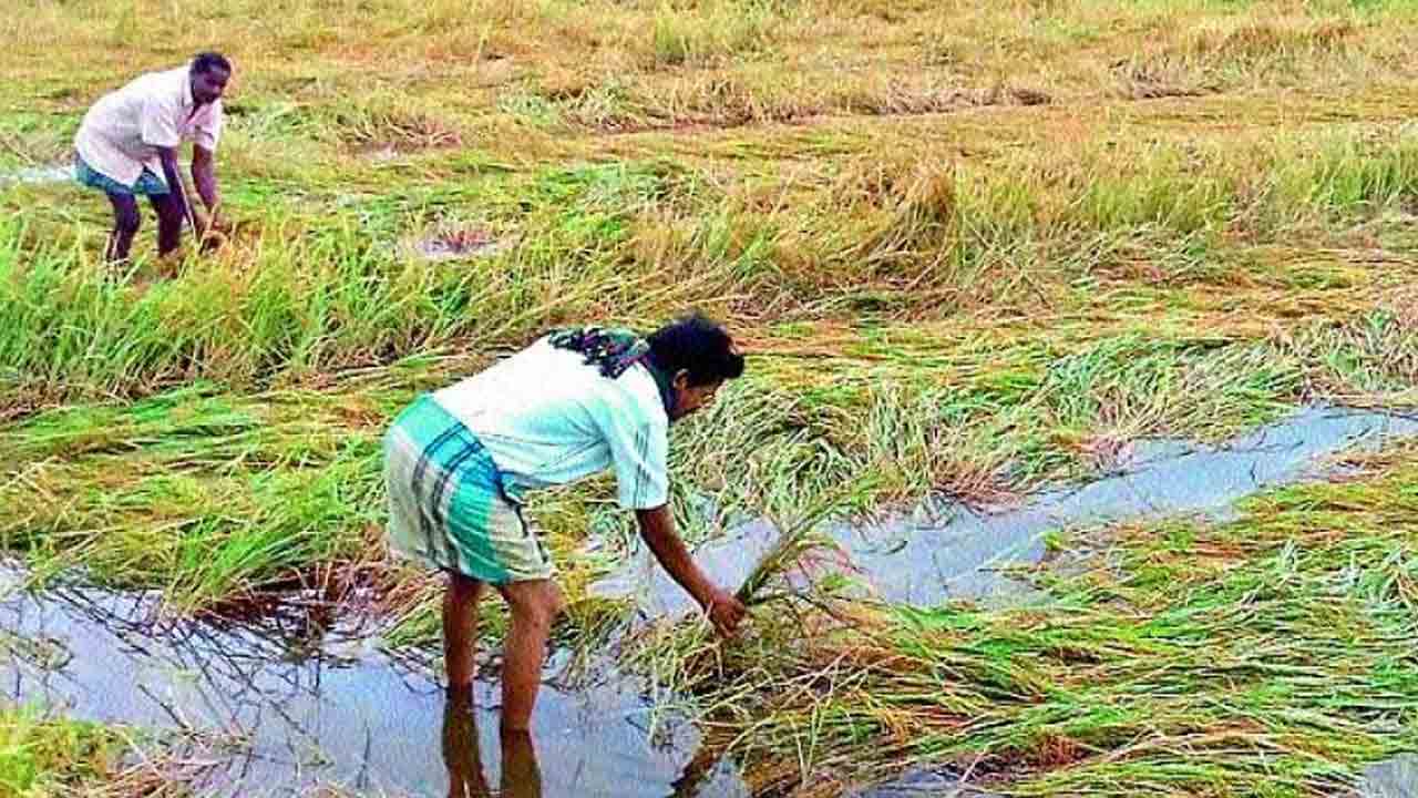 తెలంగాణ రైతులపై కేంద్రం వివక్ష