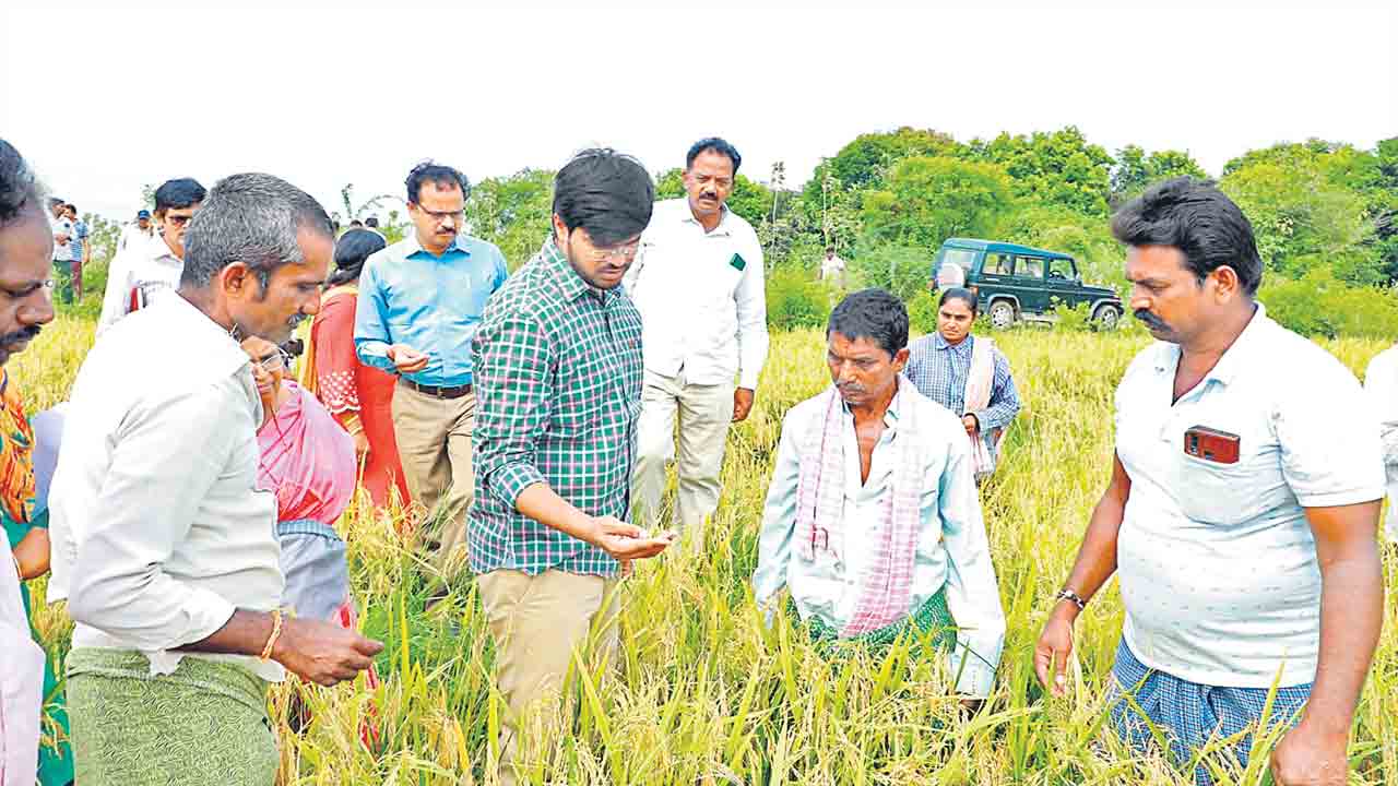 Fasal Bima Yojana |  పసలేని బీమా పరమాద్భుతమట.. ఫసల్‌బీమాను ఆకాశానికెత్తిన ఆంధ్రజ్యోతి