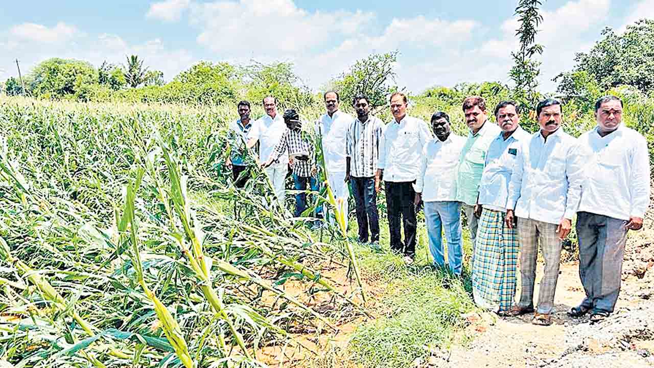 గాలివాన బీభత్సంతో అన్నదాతలకు అపారనష్టం