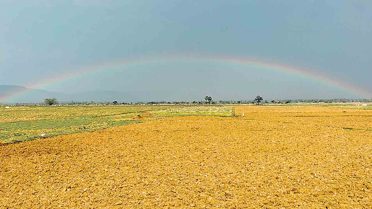 పంట మారుద్దాం దిగుబడి పెంచుదాం