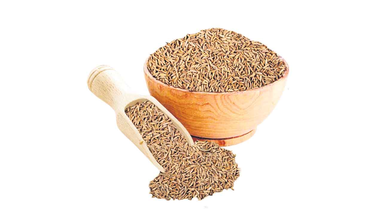 Jeera | చుక్కలు చూపిస్తున్న జీలకర్ర ధరలు.. కేజీకి రూ.540 నుంచి 560