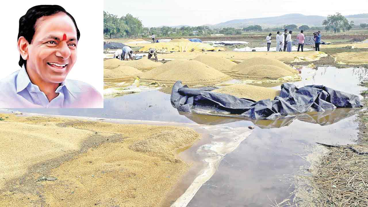 రైతు బాంధవుడికి జేజేలు..